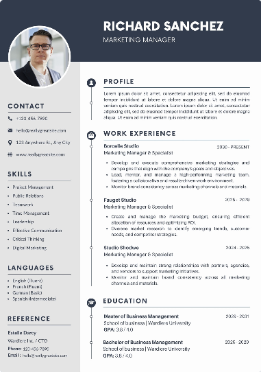 Professional CV Sample 4